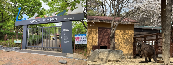 인천대공원 어린이 동물원 입구 및 내부 모습