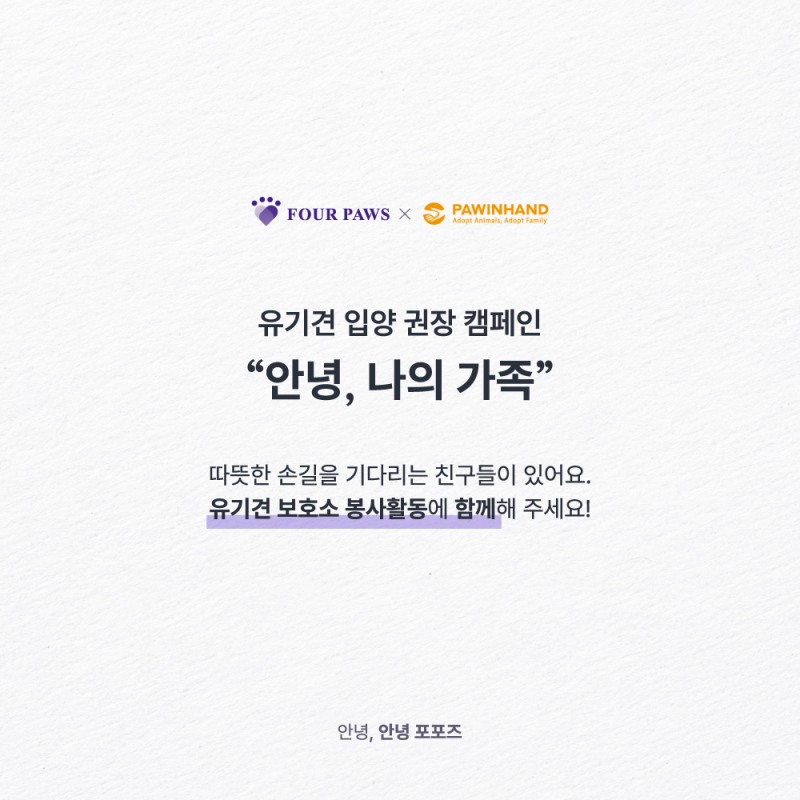 사진= 펫닥 제공