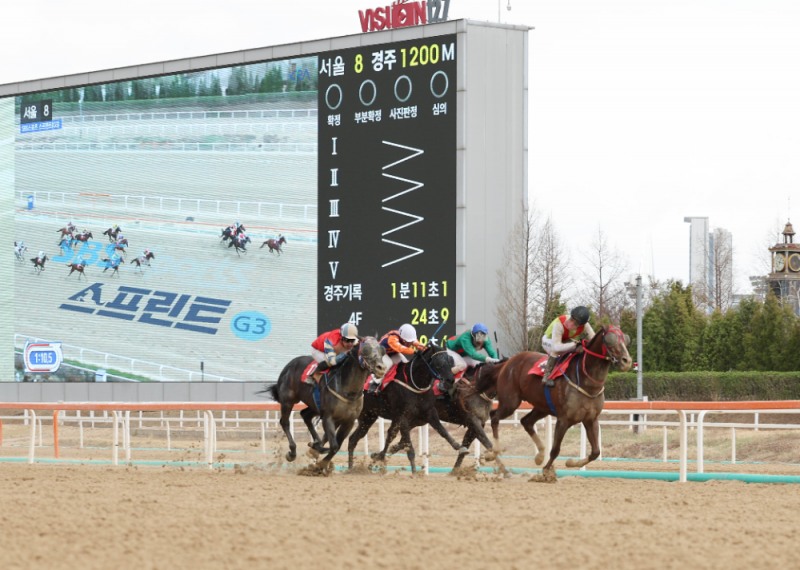 25년4월13일 제33회 SBS스포츠 스프린트 우승 빈체로카발로, 조재로 기수(4번, 검은색)