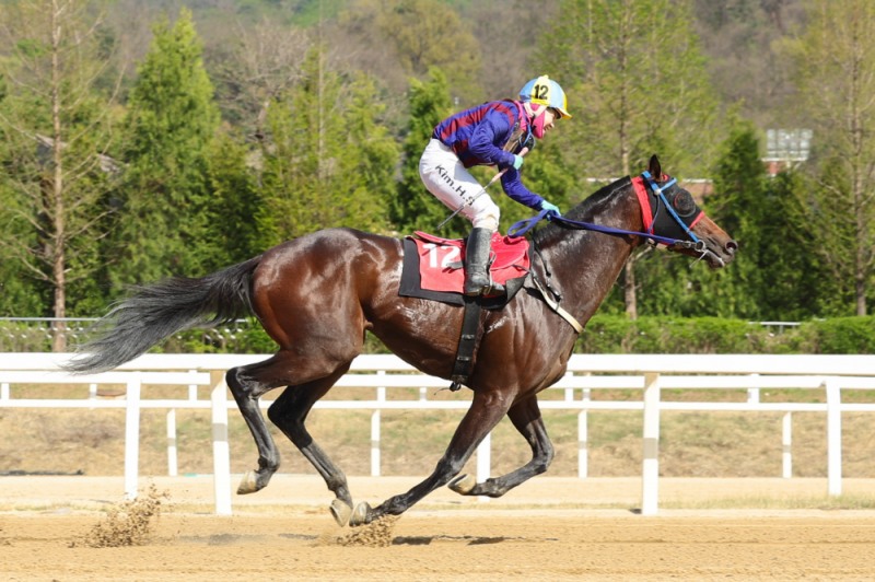 25년4월20일 YTN배_글로벌히트 김혜선 기수 결승선 장면