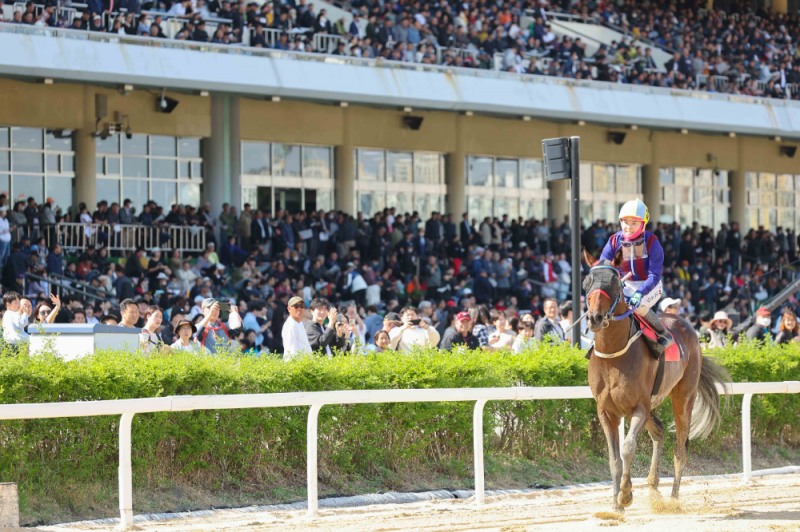 25년4월20일 YTN배_글로벌히트 김혜선 기수 위닝런 장면