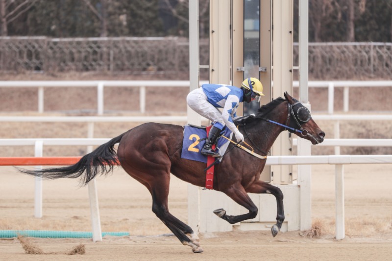 25년2월16일 제23회 세계일보배 우승마 크라운함성