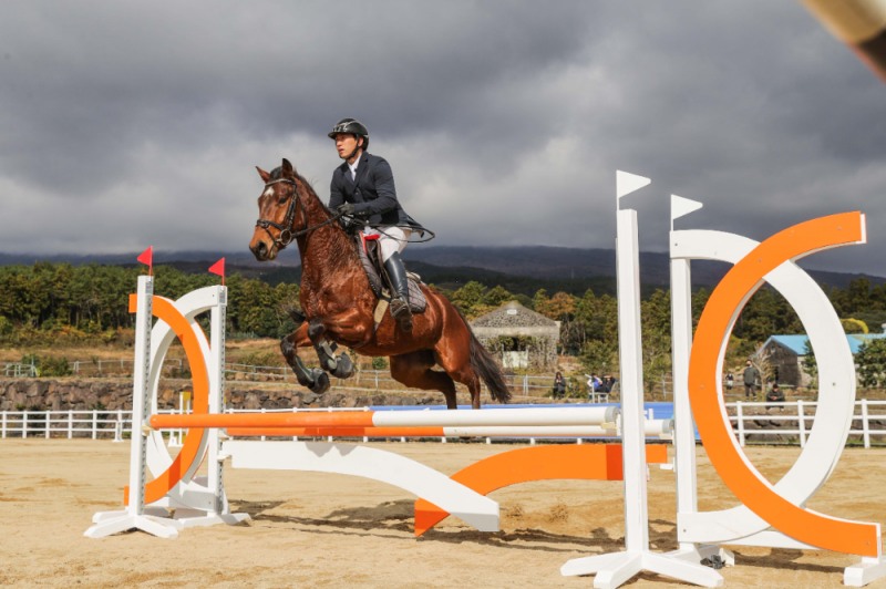 승마_장애물 비월