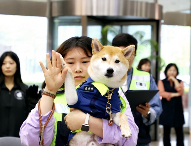 안양시 반려견 순찰대 양반견