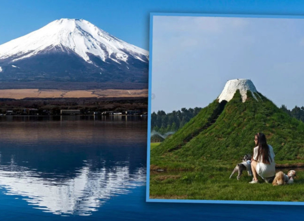 사진 출처 : 홍콩 사우스차이나모닝포스트