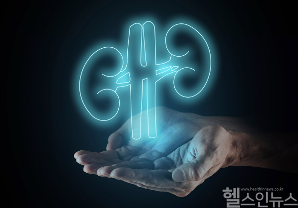 당뇨병 콩팥병은 초기 증상이 없어 조기 발견이 어려워 정기적인 검사와 관리가 필수적이다. (클립아트코리아)