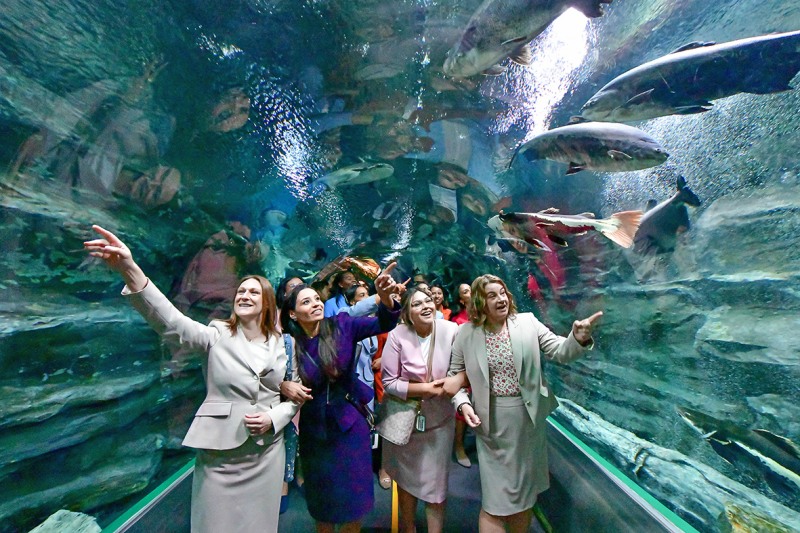 서울나들이에 나선 82차 하나님의 교회 해외성도방문단이 서울 송파구에 위치한 롯데월드타워 아쿠아리움에서 해양동물들을 만나며 행복한 추억을 만들었다.