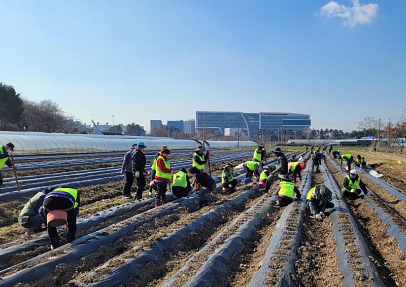 지역공동체일자리사업 참여 희망자 모집