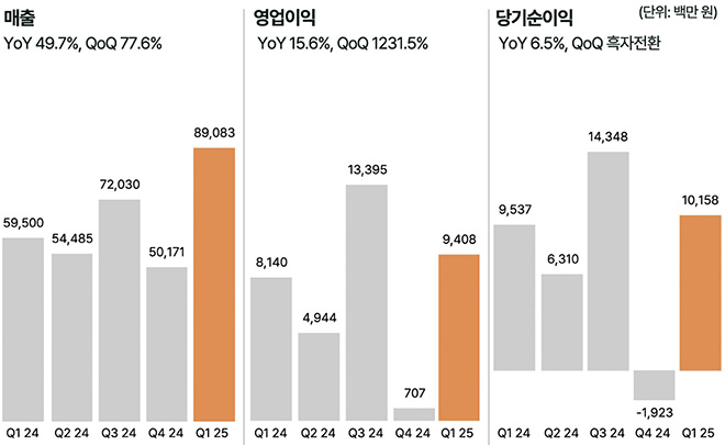 데브시스터즈 2024년 1분기~2025년 1분기 실적 현황. 자료 제공 : 데브시스터즈