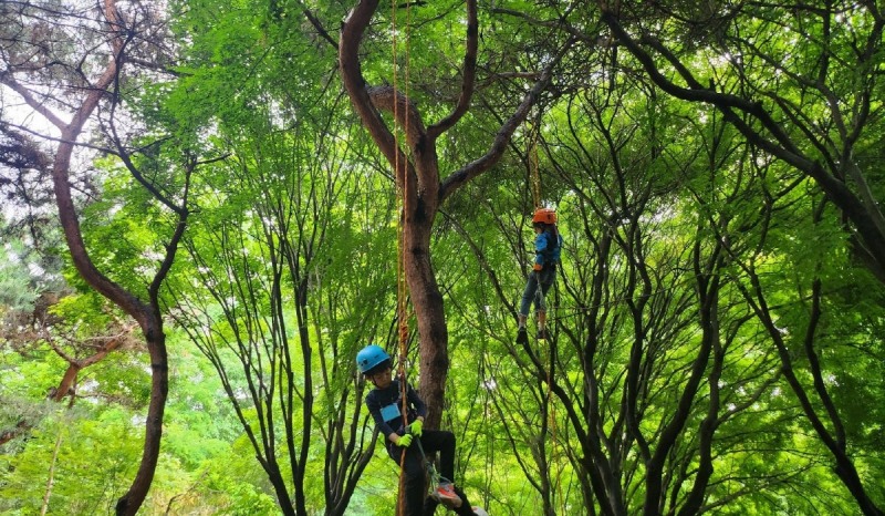 정발산공원 유아숲체험원