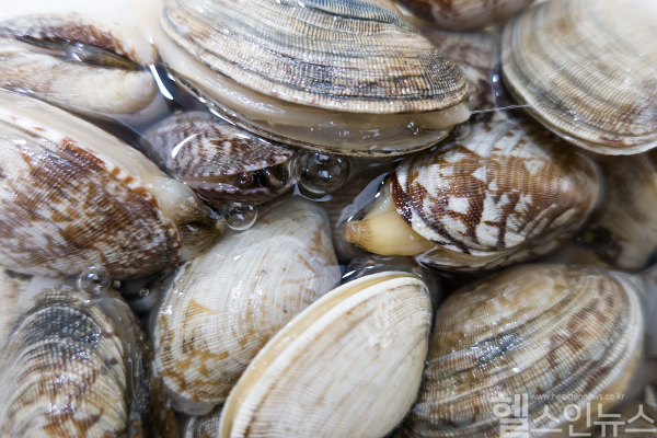 5월 첫 비브리오패혈증 환자 발생했다. 이는 기저질환자에 치명적으로 해산물 생식·바닷물 접촉 주의가 요구된다. (클립아트코리아)