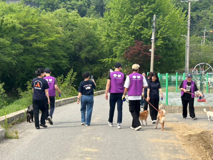 네츄럴코어는 지난 5월 14일(수) 반려동물 이커머스 기업 펀엔씨와 함께 경기도 남양주에 위치한 유기동물 보호센터 ‘동물자유연대 온센터’를 방문해 ‘펀엔씨 x 네츄럴코어 따뜻한 사랑 나눔 봉사활동’을 진행했다. 사진은 임직원들이 강아지 산책을 시키며 교감하는 모습