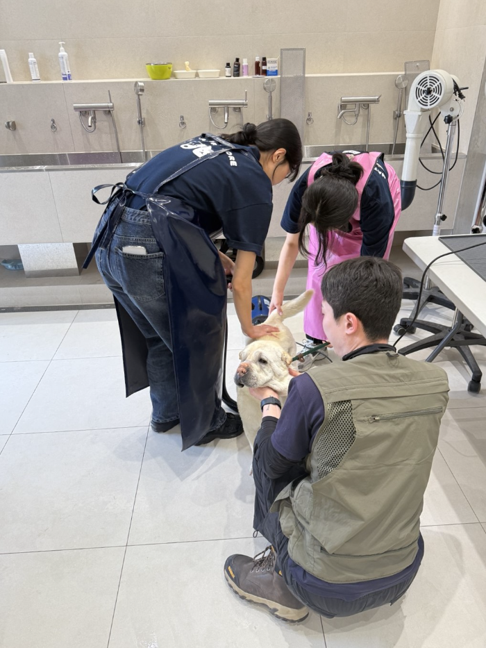 네츄럴코어는 지난 5월 14일(수) 반려동물 이커머스 기업 펀엔씨와 함께 경기도 남양주에 위치한 유기동물 보호센터 ‘동물자유연대 온센터’를 방문해 ‘펀엔씨 x 네츄럴코어 따뜻한 사랑 나눔 봉사활동’을 진행했다. 사진은 임직원들이 강아지 목욕을 시키며 교감하는 모습
