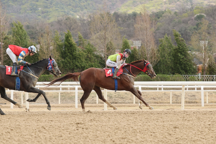 빈체로카발로_25년4월13일 SBS스포츠 스프린트