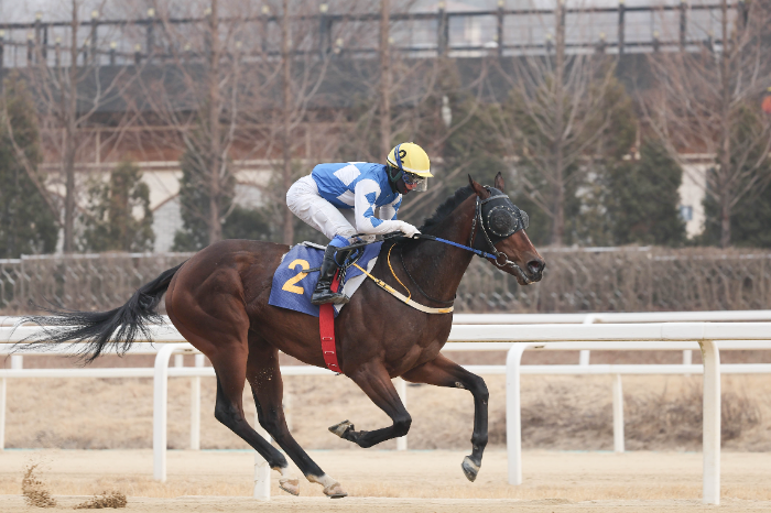 크라운함성_25년2월16일 세계일보배