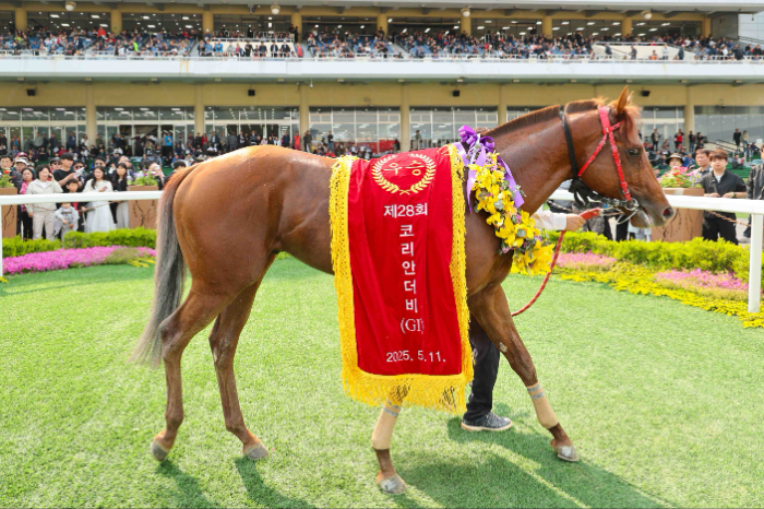 25년5월11일 코리안더비 우승마 오아시스블루