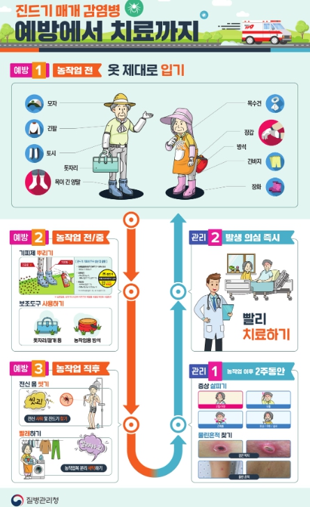 중증열성혈소판감소증후군(SFTS) 감염병 예방 홍보문 (천안시 제공)