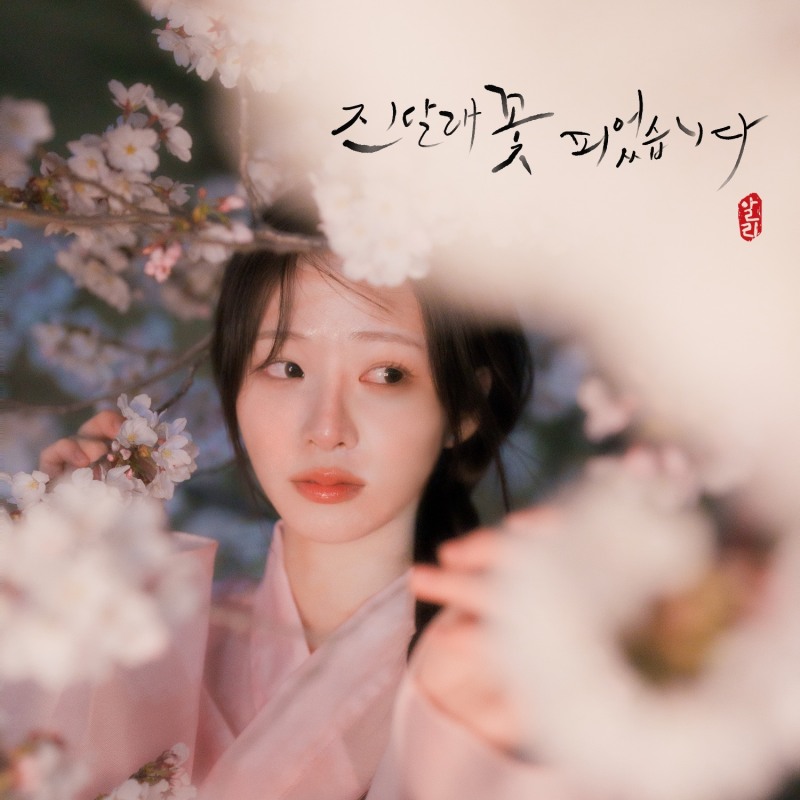 알리, 3년 만의 신보…19일 '진달래 꽃 피었습니다' 발표