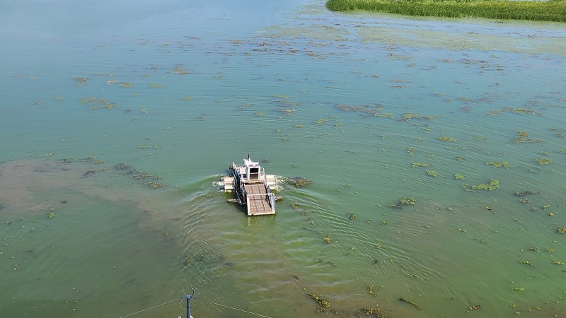 광교저수지와 팔당호 조류경보제 시행