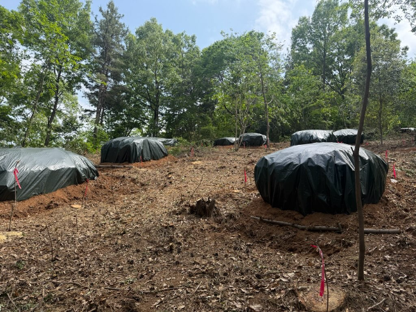 방제 작업. ⓒ 보성군