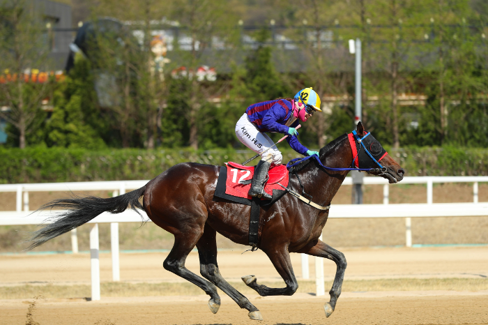 25년4월20일 YTN배 우승마 글로벌히트