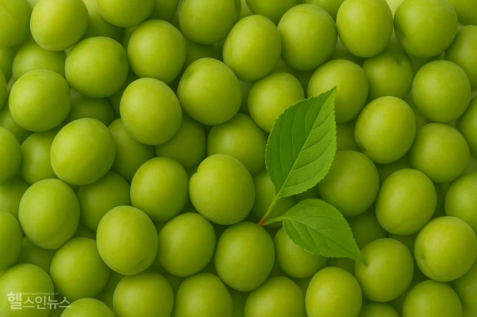 Plum extract can be made with yellow plums, but green plums (cheongmaesil) are generally more suitable. Green plums have a higher organic acid content and firmer flesh, allowing them to produce a clean taste and aroma without off-flavors during fermentation. (Image design: GDH AI Design Team)