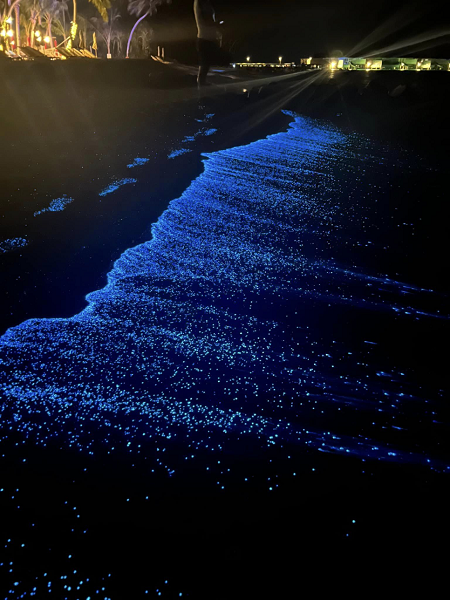 시암월드 섬 ‘천혜의 자연환경 플랑크톤’