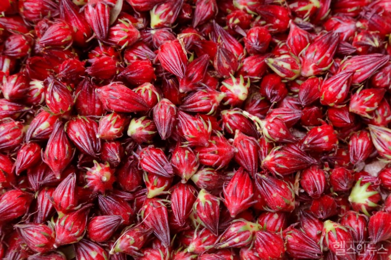 히비스커스차는 꽃잎이 아니라 꽃이 지고 난 뒤 붉게 남는 꽃받침을 말려 우려낸다. 항산화 성분과 새콤한 맛이 이 부분에 가장 풍부하게 담겨 있다. (클립아트코리아)