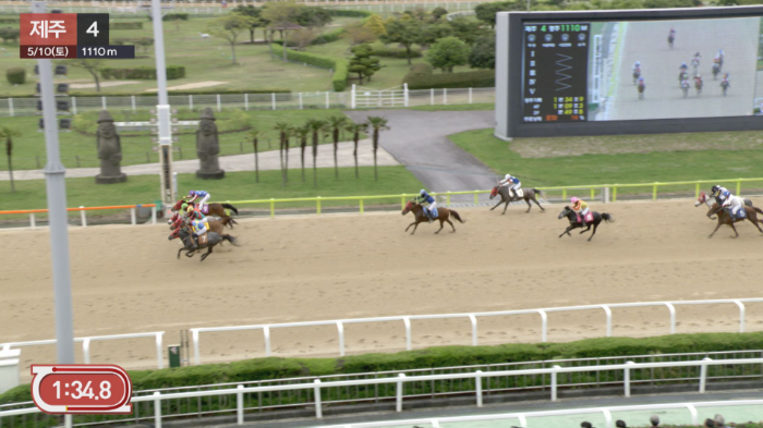 코-코-코차로 결승선 들어오는 제주마 경주