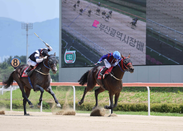 제20회 부산광역시장배, 글로벌히트 왕좌 재확인