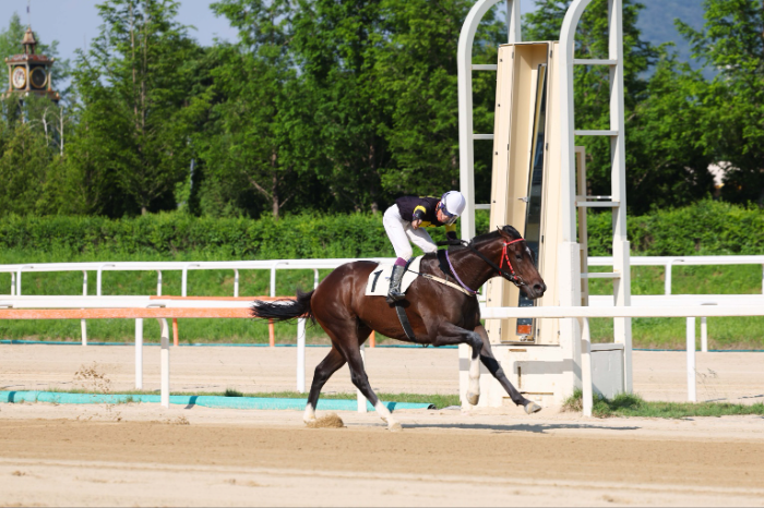 25년5월25일 스포츠경향배 원평스톰과 임다빈 기수 결승선 통과 모습