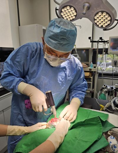 소중한 김포 쎈텀 동물병원 원장