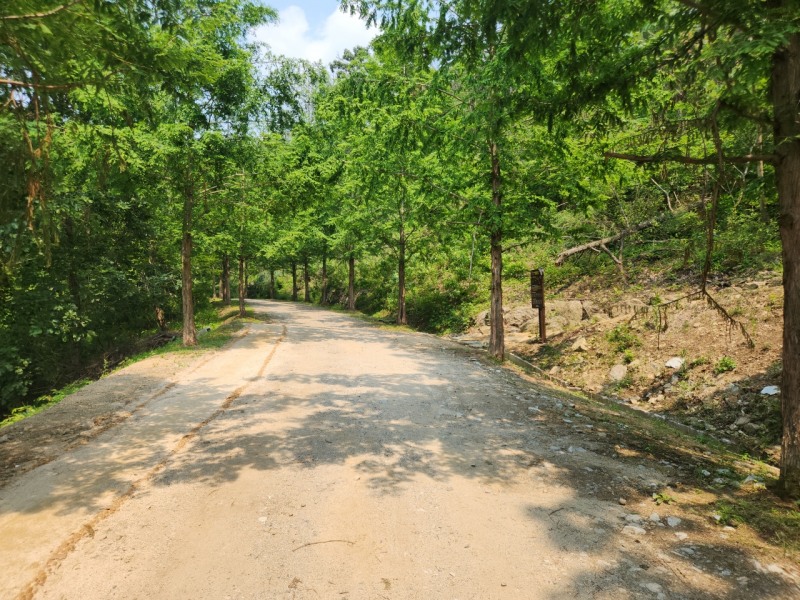 4.5km 규모의 숲길 정비사업 완료
