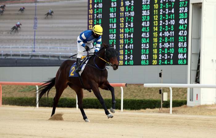 25년3월30일 루나Stakes 우승마 판타스틱밸류