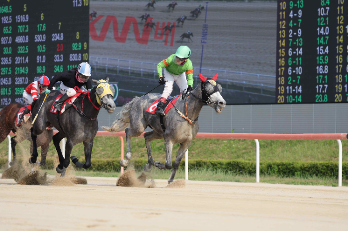우승마 라온포레스트와 최범현 기수의 우승 모습