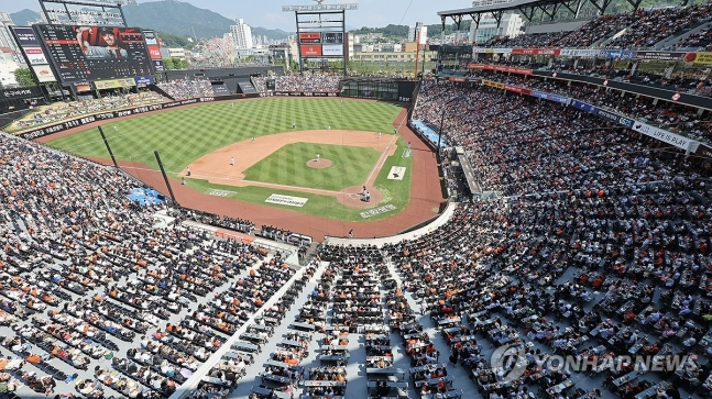 야구 열풍이 거세지고 있다.