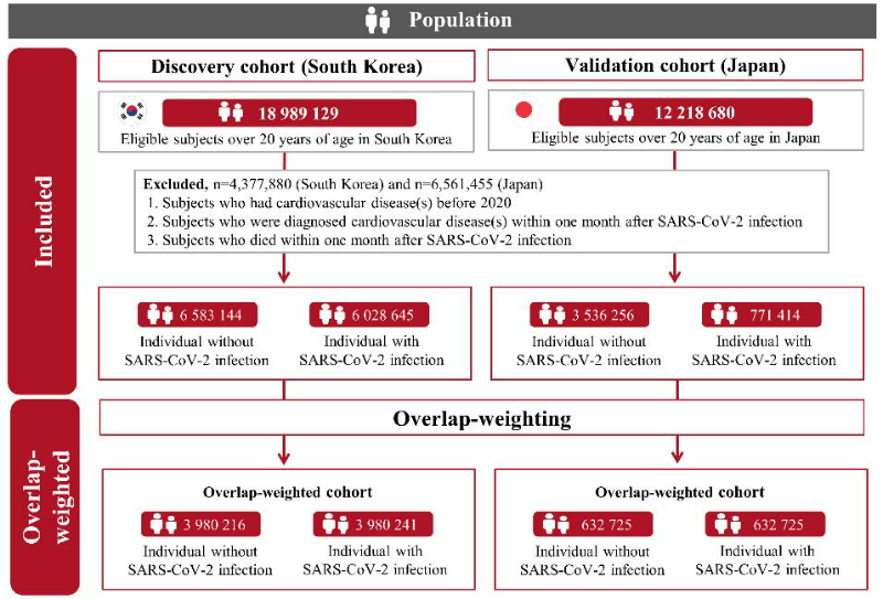연동건 교수 연구팀이 한국, 일본의 대규모 의료 빅데이터를 활용해 규명한 '연구 모식도' 사진. (사진제공=경희대)