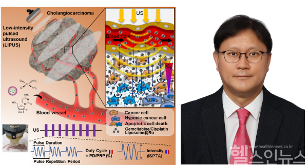 논문의 주요 내용을 도식화한 그림과 송준명 서울대 약대 교수 (딥슨바이오 제공)