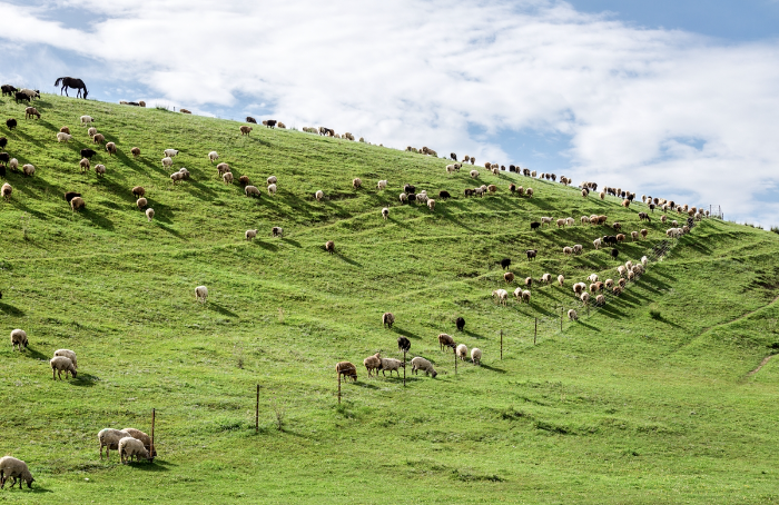 ▲여행이지 몽골 패키지 이미지