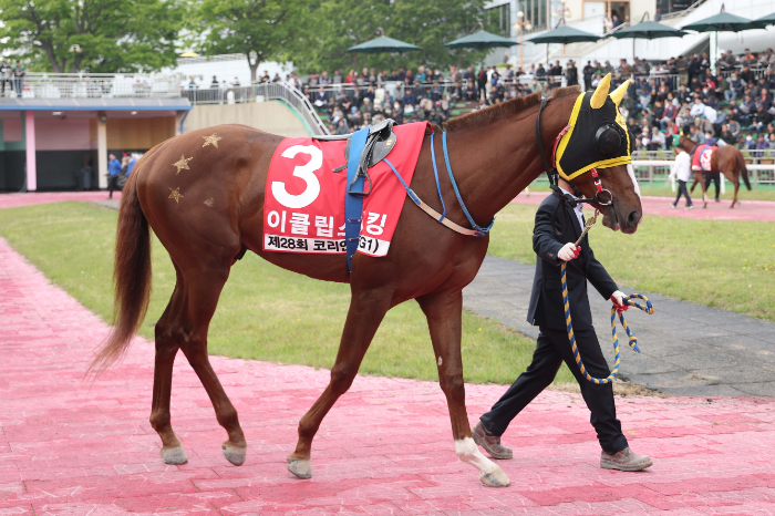 25년5월11일 코리안더비_이클립스더킹