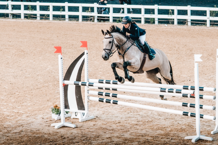 수출마 한화루카랜드