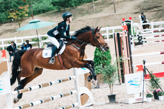 수출마 케이스타