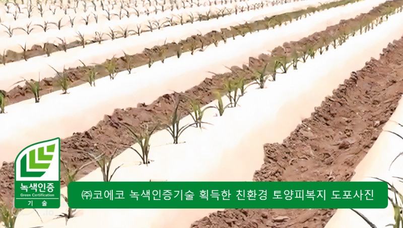 코에코, 친환경 농업 ESG혁신 선도하는 녹색인증 유일 기업으로 주목