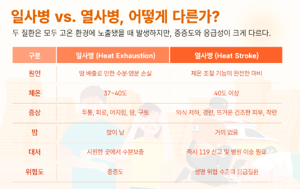 열사병, 일사병 차이점 (에이치플러스 양지병원 제공)