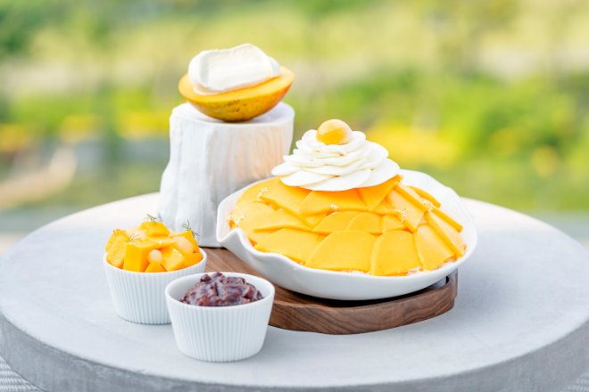 JW 메리어트 제주 '제주 애플망고 빙수'