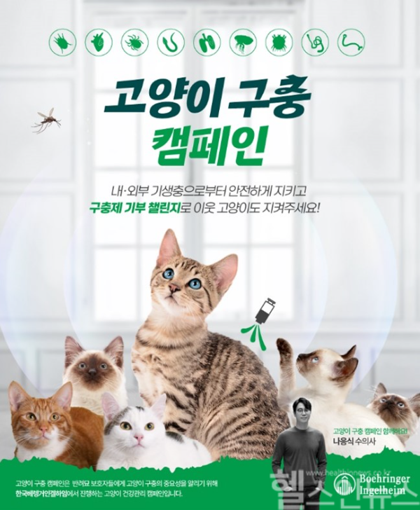한국베링거인겔하임동물약품 ‘고양이 구충 캠페인’ (한국베링거인겔하임동물약품 제공)