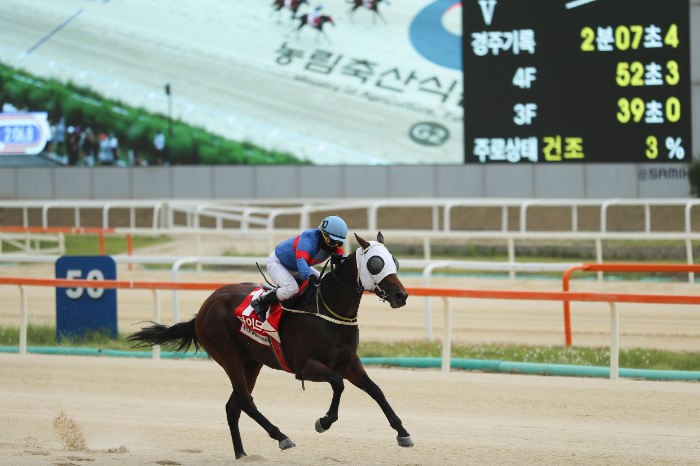 25년6월15일 농림축산식품부장관배 우승한 마이드림데이와 서승운 기수