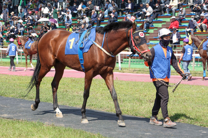 만대로_25년5월18일 스포츠조선배