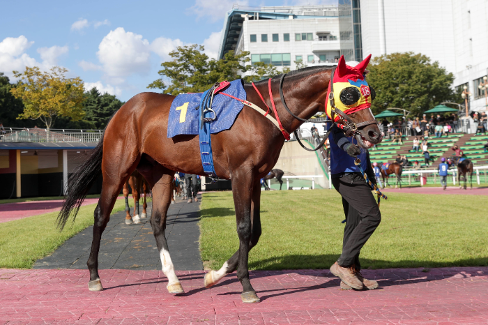 업타운위즈_24년9월29일 일간스포츠배