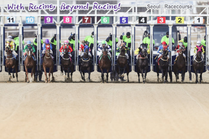 “당신도 마주馬主가 될 수 있다” 한국마사회, 서러브레드 마주 모집